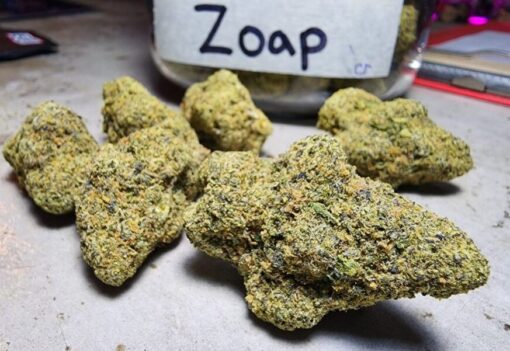 Comprar Zoap Weed