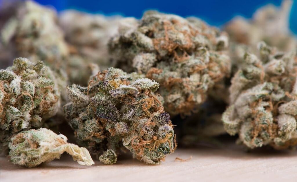Weed Kaufen Online Deutschland Gras Kaufen Weed Bestellen Gras