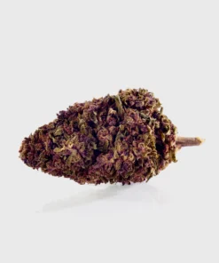 Purple Kinky Kush Superio